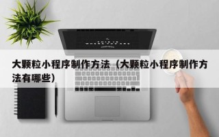 苍南大颗粒小程序制作方法（大颗粒小程序制作方法有哪些）