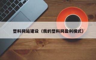 苍南塑料网站建设（我的塑料网盈利模式）