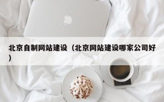 苍南北京自制网站建设（北京网站建设哪家公司好）